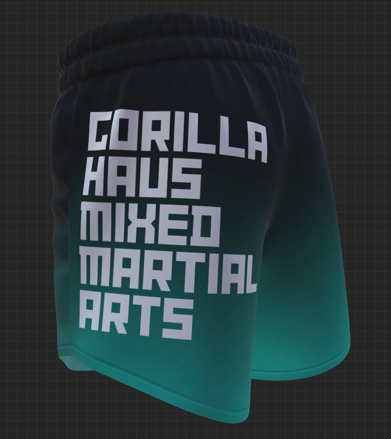 Gorilla Haus MMA Training Kit -Teal